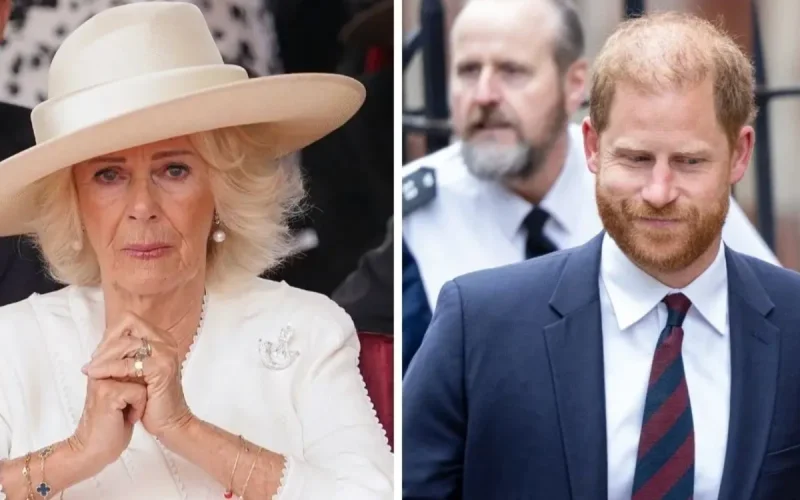 Prince Harry : ce qu'il reproche ouvertement à la reine Camilla