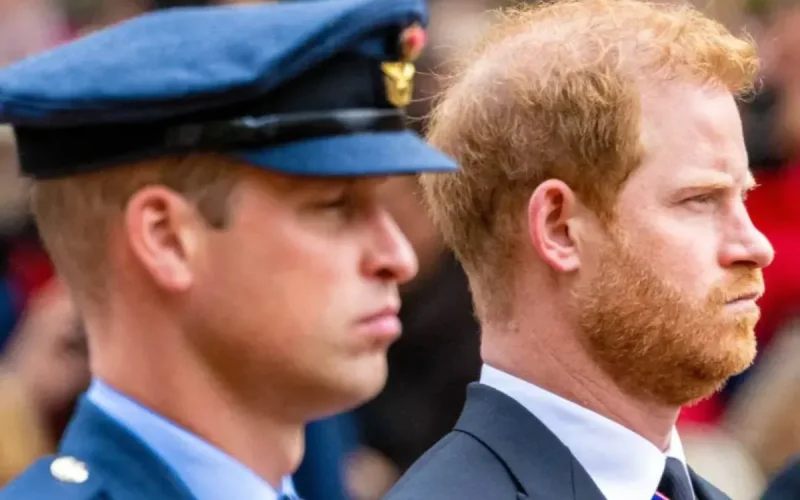 « Prince Harry regrette William » : le cri du cœur après six ans de rupture
