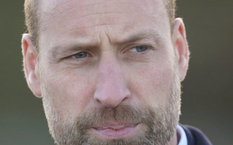 Prince William victime d'un sabotage : ses arbres « empoisonnés » au glyphosate