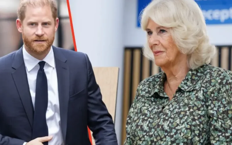 Reine Camilla : les quatre mots cruels du prince Harry qui ont empoisonné leur relation à jamais