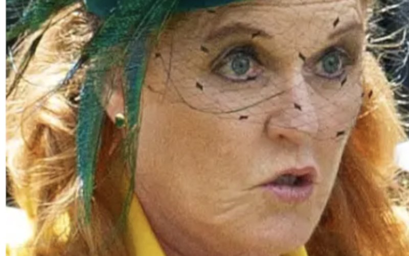 Sarah Ferguson prépare-t-elle une « Interview vérité » ? La « crainte de déclarations imprévisibles » grandit après la perte de son titre ! 