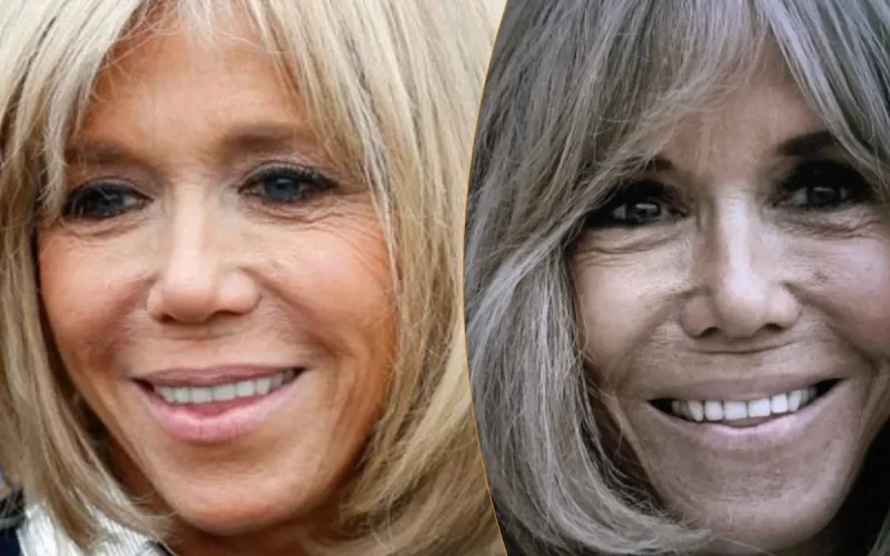 « Si on démolit Brigitte, on démolit Macron » : le complot révélé au grand jour