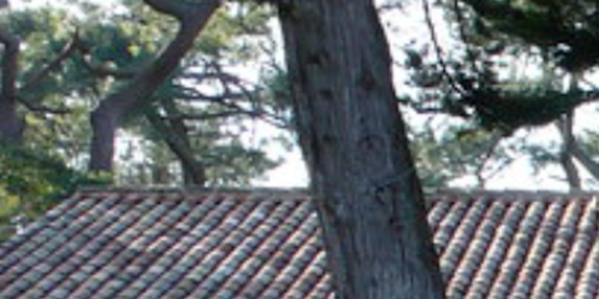 Maison Cap Ferret Marion Cotillard | Ventana Blog