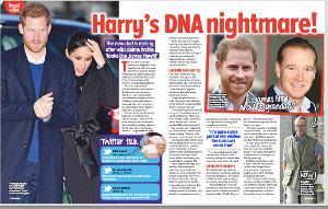 meghan-markle-et-prince-harry-encore-un-test-adn-evendication-cruelle