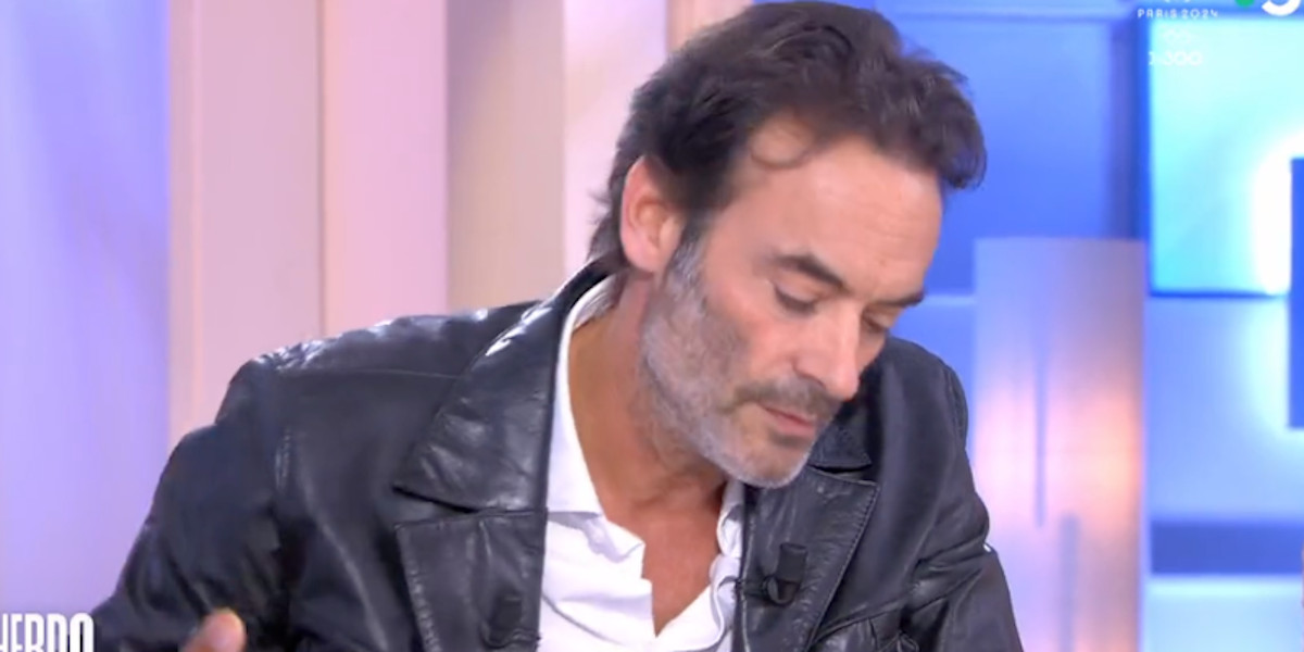 Anthony Delon : coup de gueule en direct à la télé à propos de Rosalie van Breemen