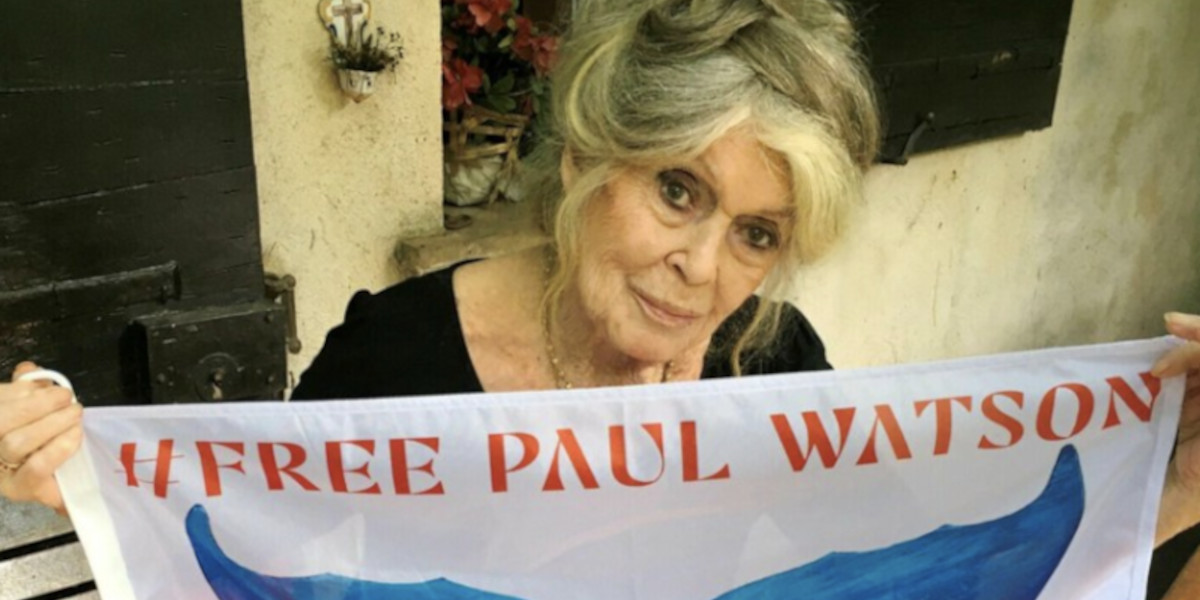 Brigitte Bardot, 90 ans : Le montant de sa fortune colossale dévoilé 