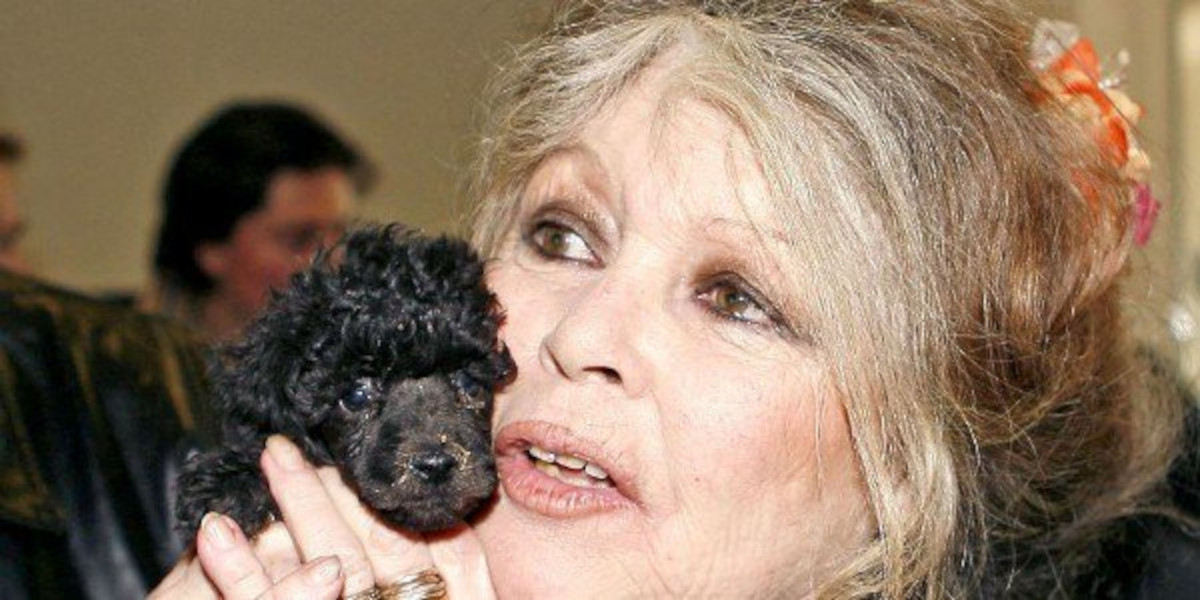 Brigitte Bardot « déshérite » sa famille ?
