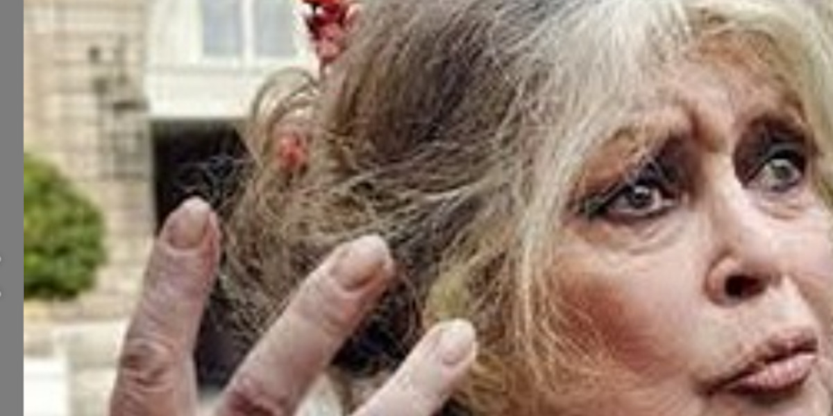 Brigitte Bardot humiliante, elle a mis un râteau à un célèbre chanteur