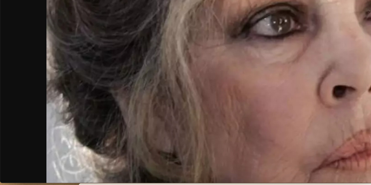Brigitte Bardot : Un Noël cauchemardesque !