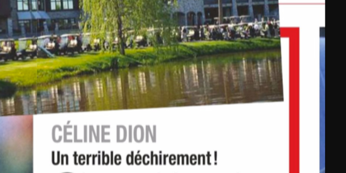 Céline Dion, un terrible déchirement, Une vente à plusieurs millions qui lui brise le coeur