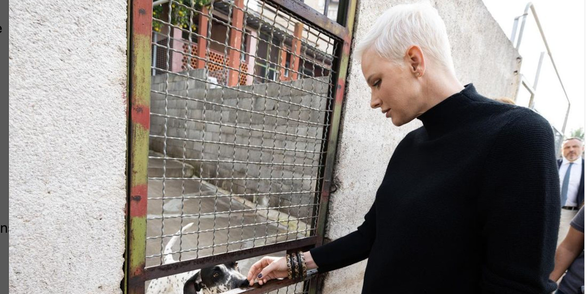Le silence intrigant de Charlène de Monaco : Que se passe-t-il réellement ? Elle quitte subitement d'Instagram