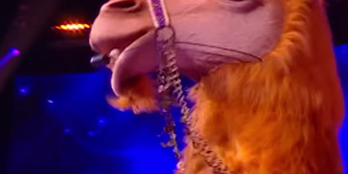 Mask Singer 2023 - Michaël Youn et Vincent Dessagnat dans le costume du Chameau, indice révélateur (vidéo)