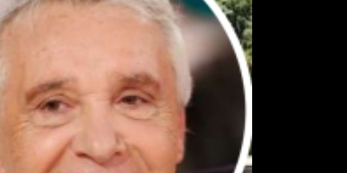 Michel Sardou, son immense villa à Bormes-les-Mimosas dévoilée, il est voisin d'Emmanuel Macron