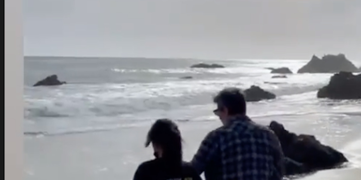 Jalil Lespert et Laeticia Hallyday, clan soudé à Malibu, belle déclaration à Joy (photo)