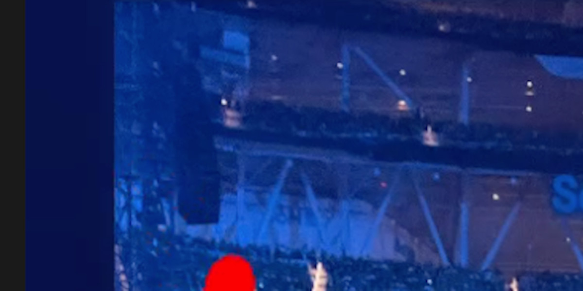 Laeticia et Joy Hallyday, la grande déception au concert de The Weeknd, la raison précisée