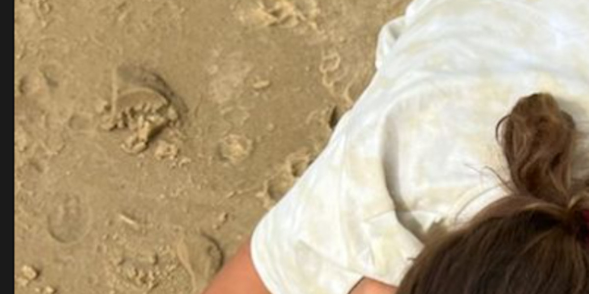 Laure Manaudou « en divorce », ce clin d'œil à Jérémy Frérot, un élément apaisant