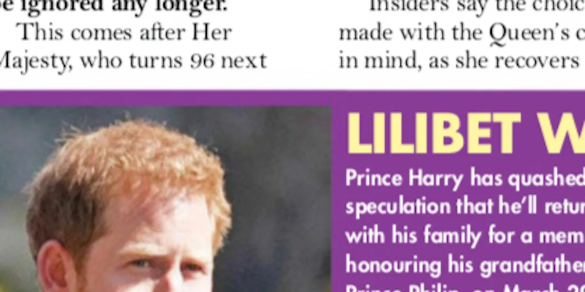 Prince Harry, « vil serpent » avec Meghan Markle, leur geste contre William divise les Américains