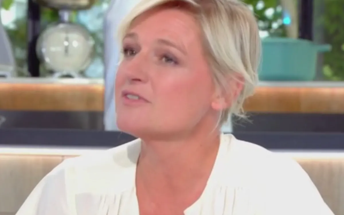 Anne-Élisabeth Lemoine face à Fogiel : ce qu'elle s'est sentie obligée de faire en direct
