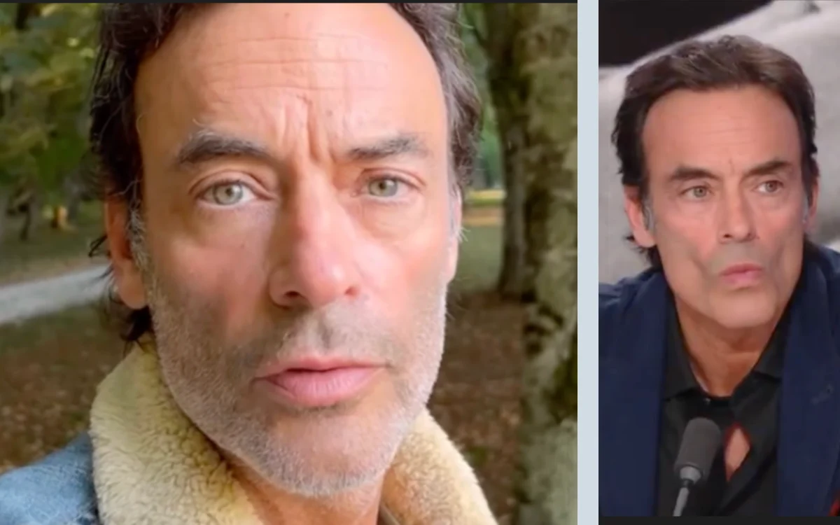 Anthony Delon : il dit avoir rangé la hache de guerre, mais un sujet reste sensible