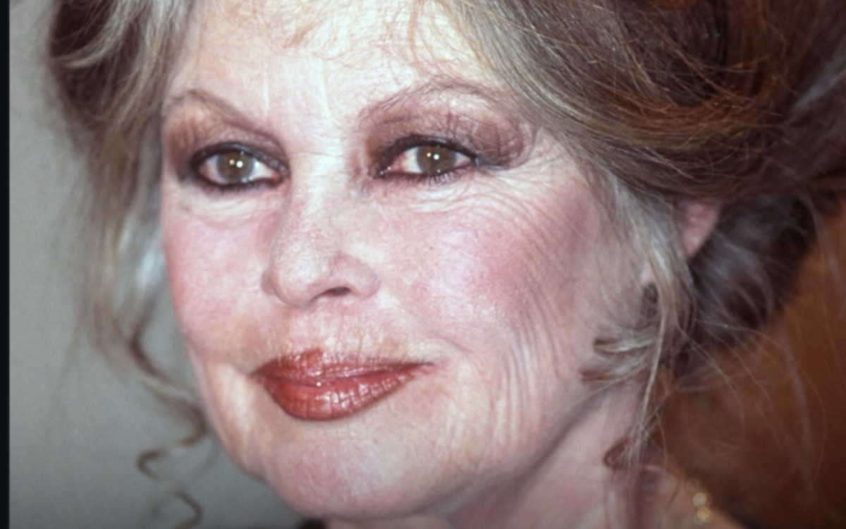 Brigitte Bardot : les derniers jours d'un combat mené contre la maladie 