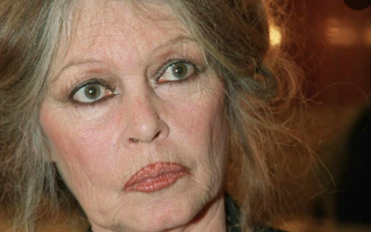 Brigitte Bardot : les secrets de son héritage 