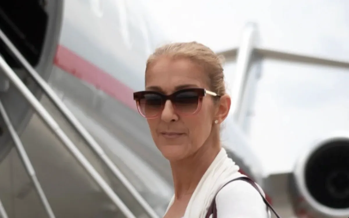 Céline Dion : près de 200 faux sites et comptes, des centaines de fans pourraient rester dehors