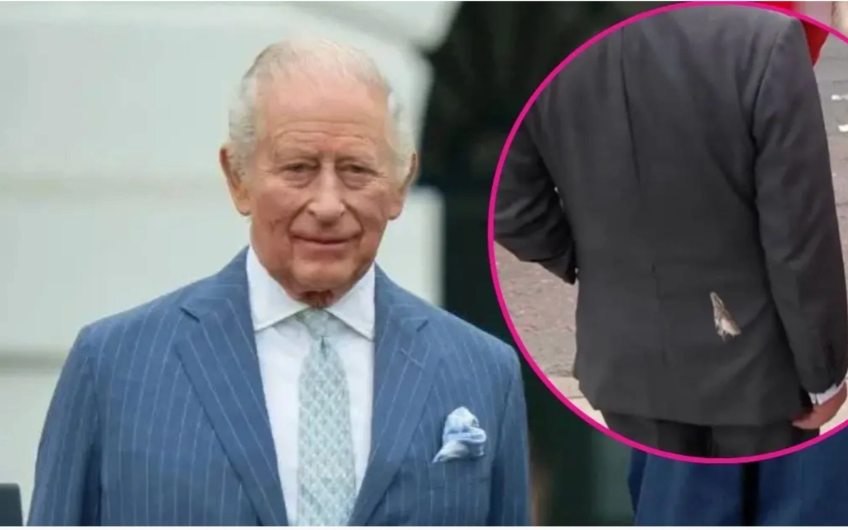 Charles III : en pleine visite en Irlande du Nord, une mouette provoque un moment gênant