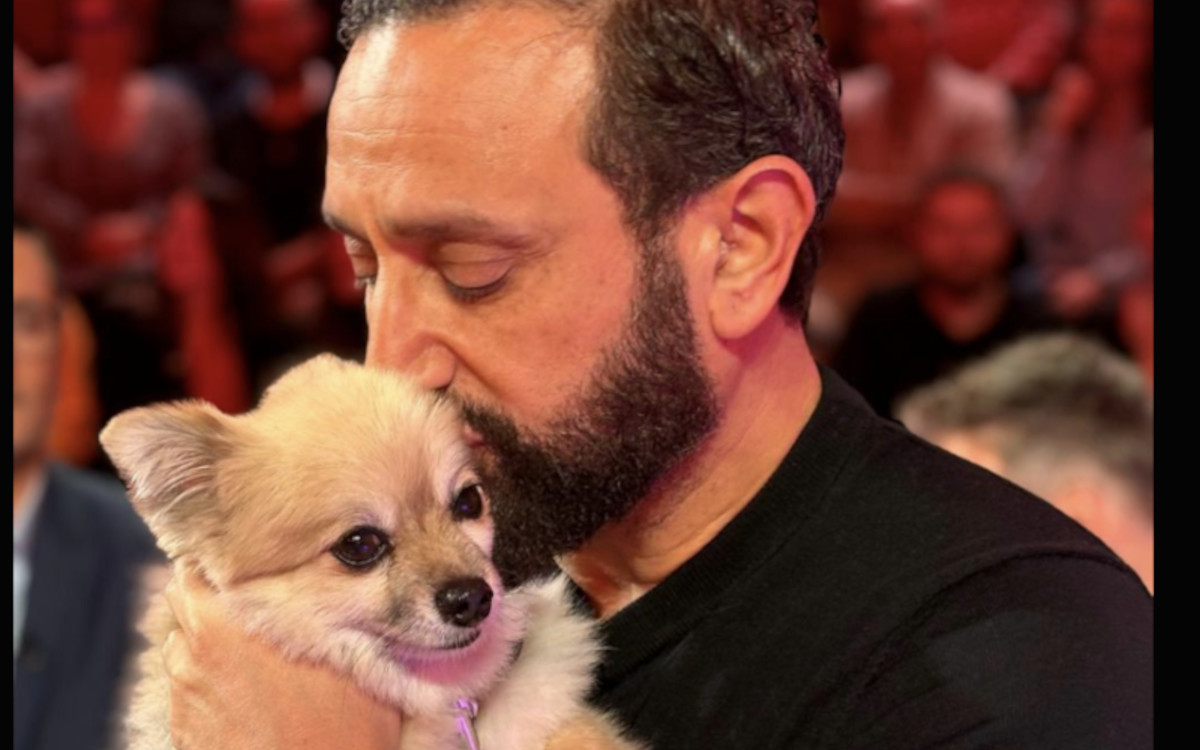 Cyril Hanouna et Tiphaine Auzière : un an d'amour et une nouvelle complice à quatre pattes 