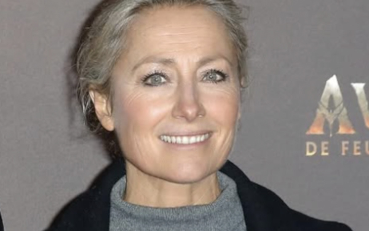 Le fils d'Anne-Sophie Lapix affole les réseaux : sa ressemblance avec David Hallyday intrigue