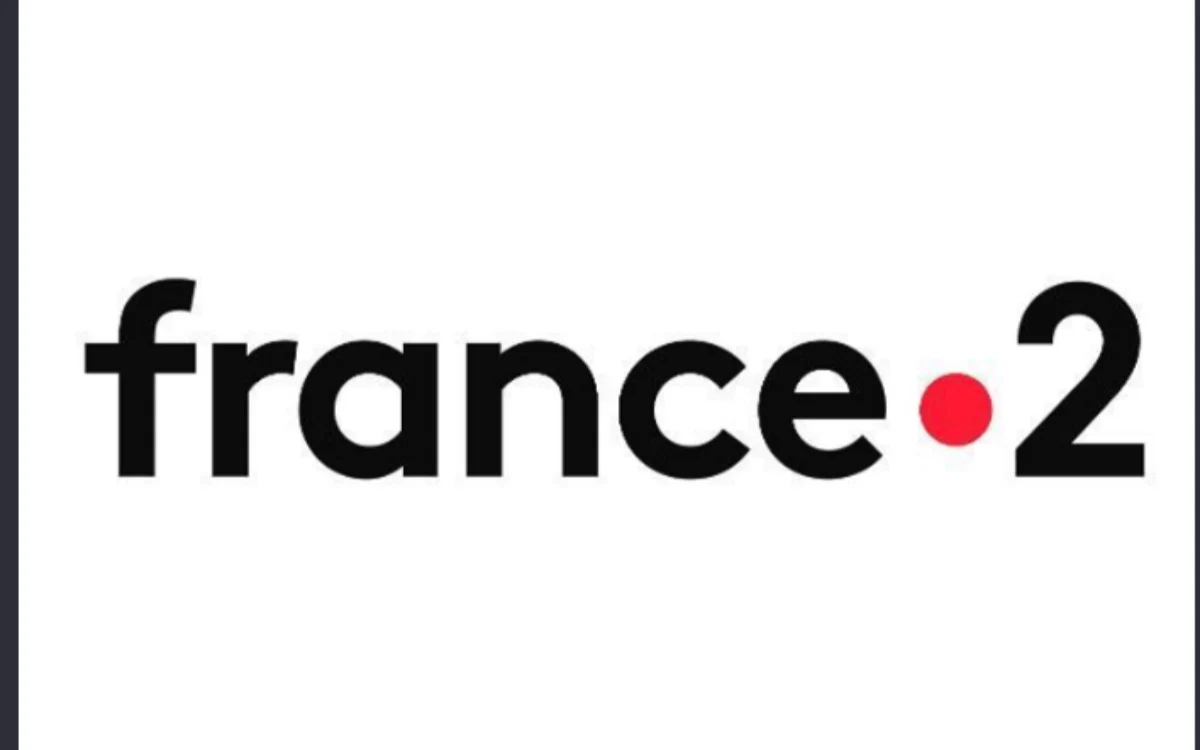 Netflix met 308 millions sur la table : France Télévisions pourrait bientôt perdre sa première place