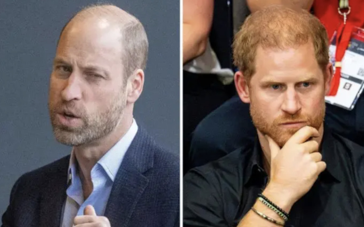 Netflix, Diana : Prince William et Harry au bord du procès