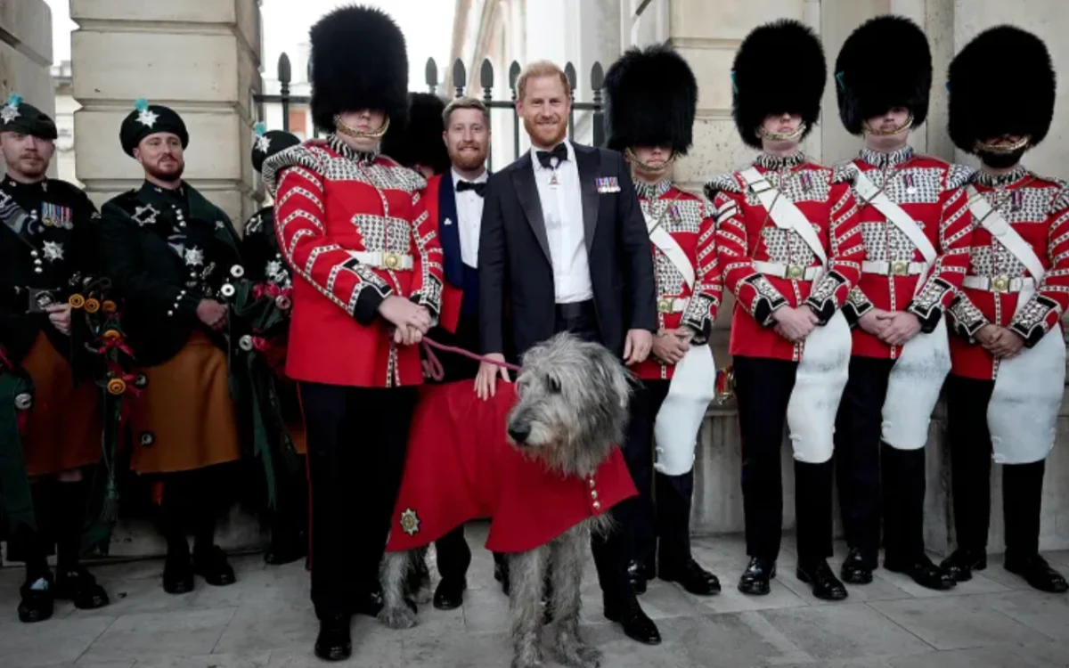 Prince Harry en médailles aux Invictus : ce que la photo ne dit pas de son statut