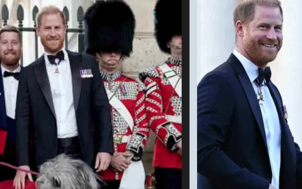 Prince Harry : sans rôle royal, ce chiffre donne une autre mesure de son influence
