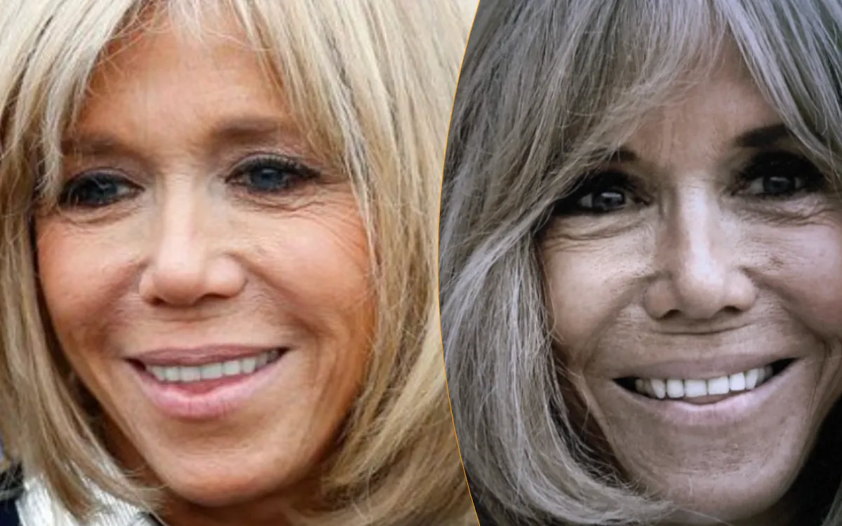 « Si on démolit Brigitte, on démolit Macron » : le complot révélé au grand jour