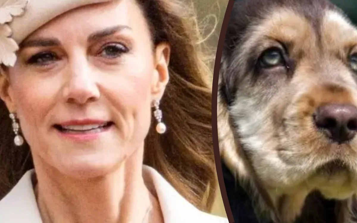 « Un vide à combler » : Kate Middleton prend une décision radicale après son cancer