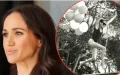 « Besoin d'attention embarrassant » : Meghan Markle critiquée après sa photo d'anniversaire 