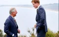 Avec Charles, Harry voit encore une porte ouverte ; avec William, il craindrait qu'elle se referme