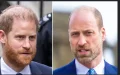 Charles III : son plan secret pour réconcilier les frères ennemis Harry et William avant sa mort