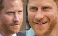Prince Harry face à Charles : retrouvailles, émotion… mais Le Suppléant divise toujours