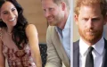 Prince Harry : ce qu'il ne supporte plus dans la vie de Meghan Markle
