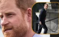 Prince Harry : refus, changement de dernière minute… la vérité sur son hébergement à Buckingham
