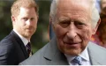 Prince Harry : il veut revoir Charles avec ses enfants, mais pose une condition