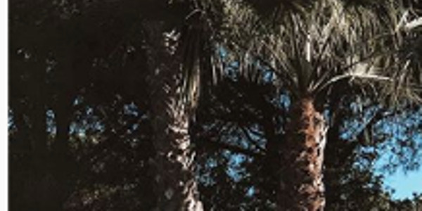 David Hallyday, une villa de rêve au Portugal, Emma Smet balance la photo