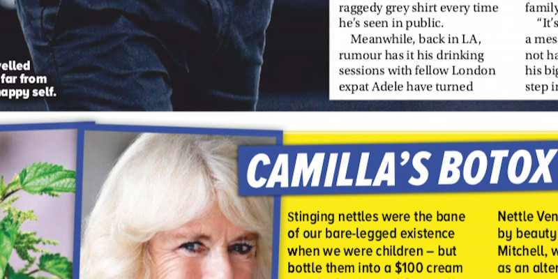 Camilla Parker-Bowles, impressionne Charles - Botox, son douloureux secret beauté (photo)