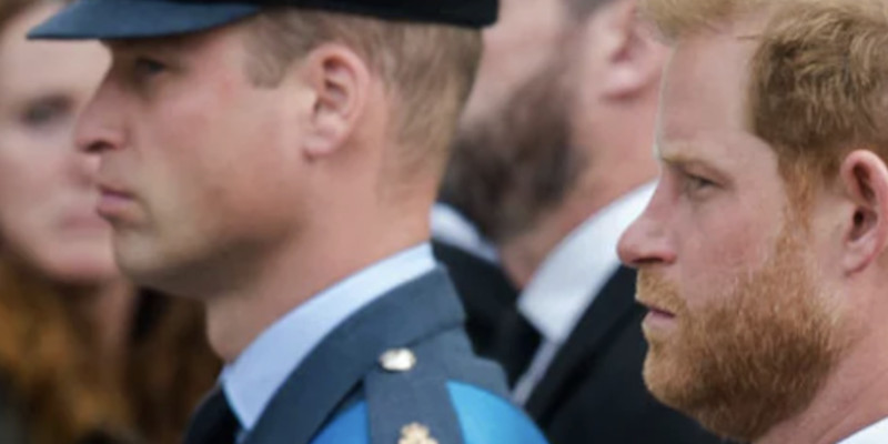 Prince Harry et William bientôt réunis : les confidences qui changent tout