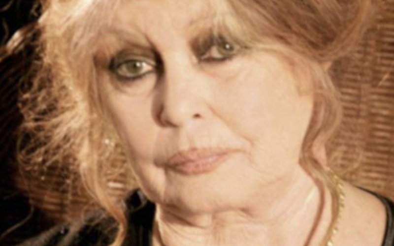 Brigitte Bardot, quel sort pour ses animaux après son décès ?