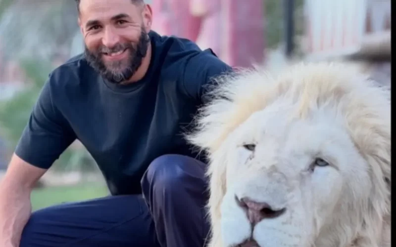 Karim Benzema : polémique avec des fauves, Lyna Khoudri impuissante en coulisses