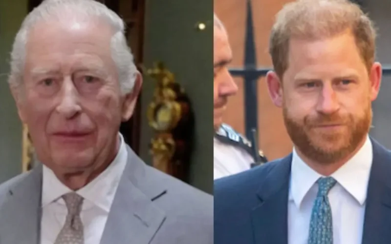 Prince Harry : ce plan calculé pour reconquérir Charles crée le malaise