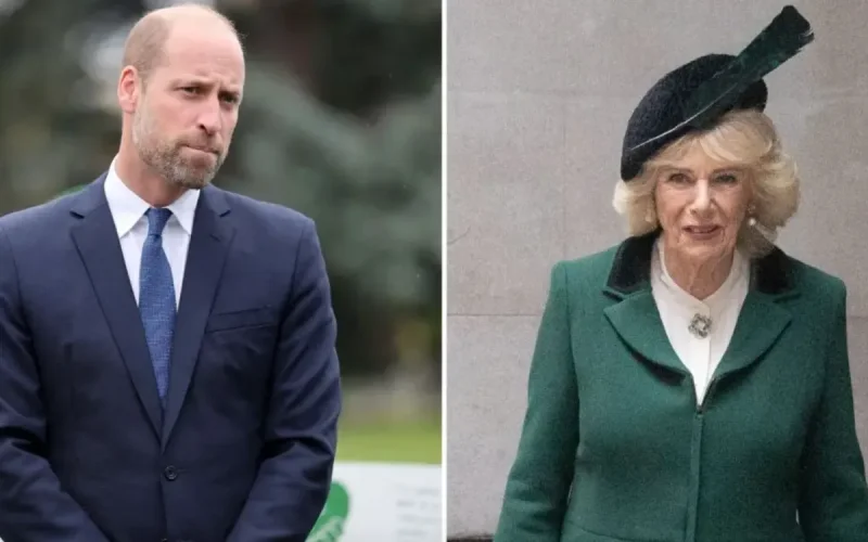 Prince William : ce geste fort pour défendre son cousin Peter Phillips face à la reine